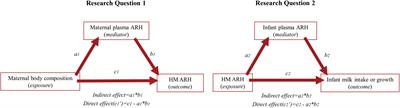 Associations between maternal adiposity and appetite-regulating hormones in human milk are mediated through maternal circulating concentrations and might affect infant outcomes